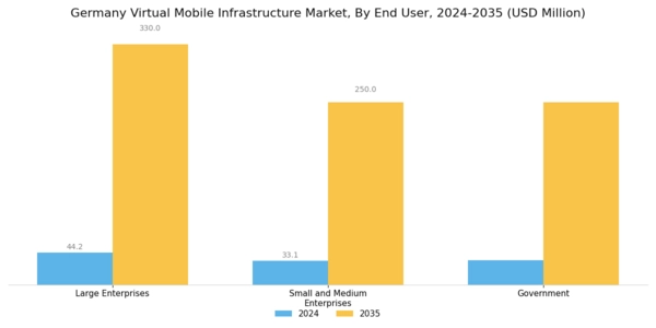 Germany Virtual Mobile Infrastructure Market Segment Image 2