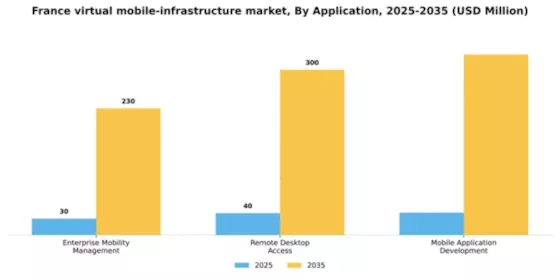 France Virtual Mobile Infrastructure Market Segment Image 0