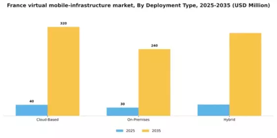 France Virtual Mobile Infrastructure Market Segment Image 1
