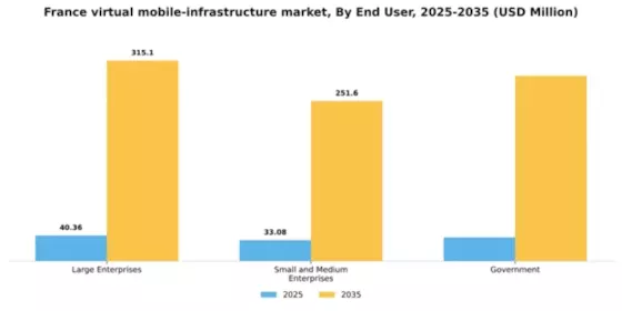 France Virtual Mobile Infrastructure Market Segment Image 2