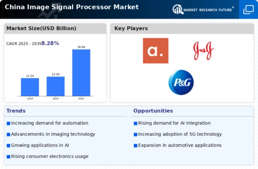China Image Signal Processor Market Infographic