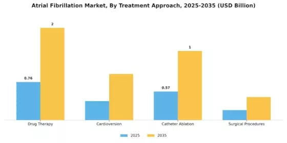 Atrial Fibrillation Systems Market Segment Image 1