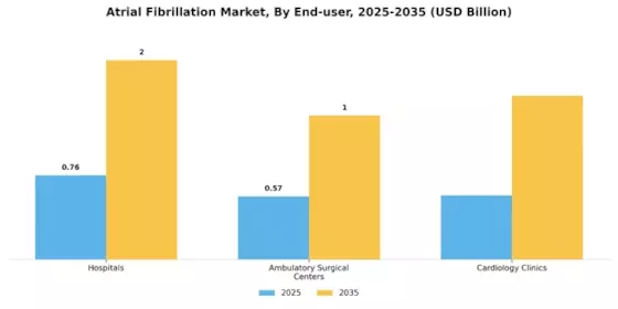 Atrial Fibrillation Systems Market Segment Image 2