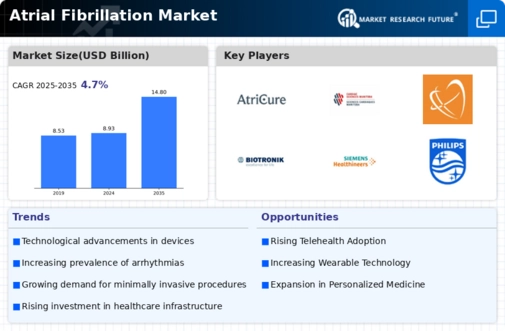 Atrial Fibrillation Systems Market Infographic
