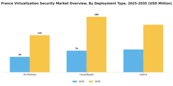 France Virtualization Security Market Segment Image 1