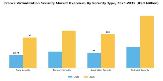 France Virtualization Security Market Segment Image 2
