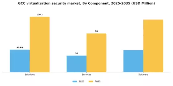 GCC Virtualization Security Market Segment Image 0