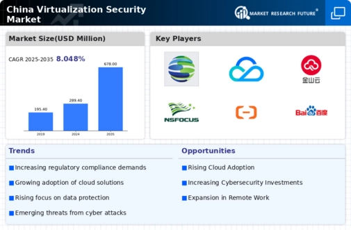 China Virtualization Security Market Infographic
