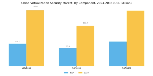 China Virtualization Security Market Segment Image 1
