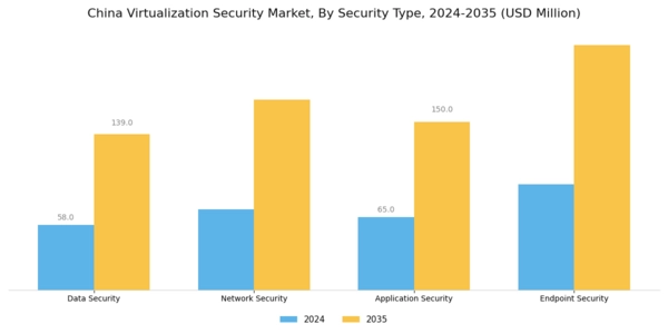 China Virtualization Security Market Segment Image 3