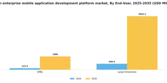 Japan Enterprise Mobile Application Development Platform Market Segment Image 1