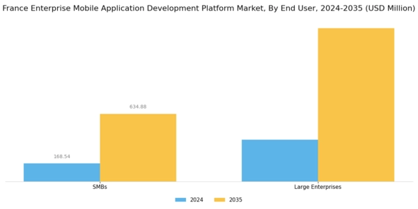 France Enterprise Mobile Application Development Platform Market Segment Image 1