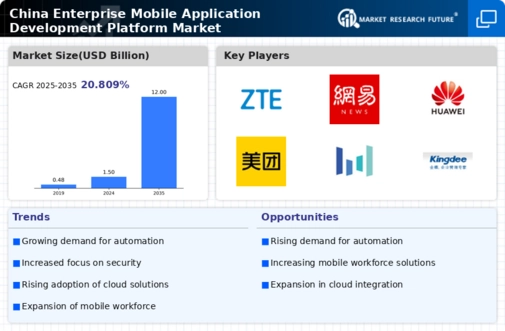 China Enterprise Mobile Application Development Platform Market Infographic
