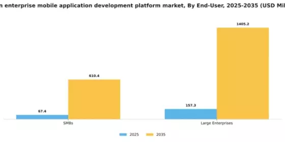 Spain Enterprise Mobile Application Development Platform Market Segment Image 1