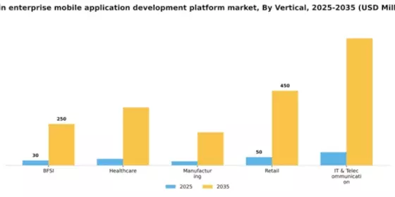 Spain Enterprise Mobile Application Development Platform Market Segment Image 2