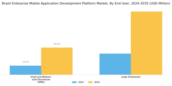 Brazil Enterprise Mobile Application Development Platform Market Segment Image 1