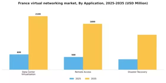 France Virtual Networking Market Segment Image 0