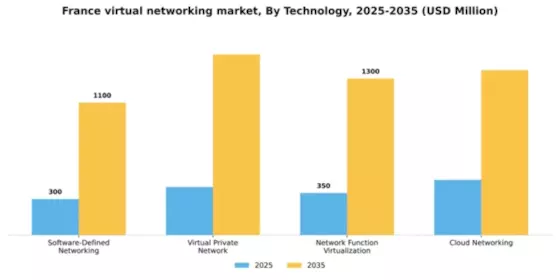 France Virtual Networking Market Segment Image 3