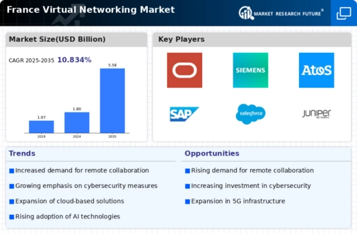 France Virtual Networking Market Infographic