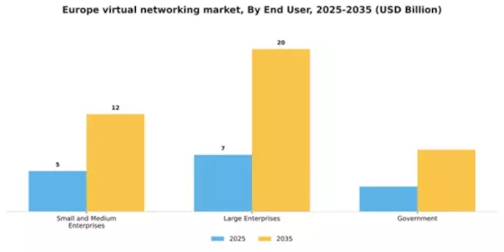 Europe Virtual Networking Market Segment Image 2