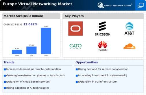 Europe Virtual Networking Market Infographic