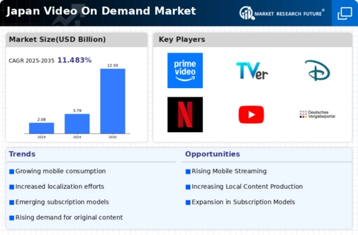 Japan Video On Demand Market Infographic