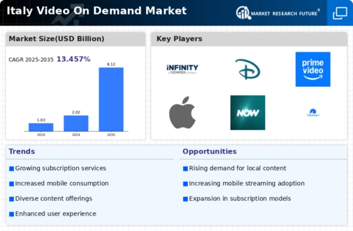 Italy Video On Demand Market Infographic
