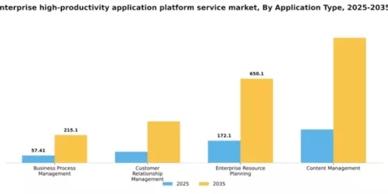 South Korea Enterprise High Productivity Application Platform Service Market Segment Image 0