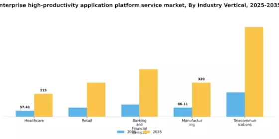 South Korea Enterprise High Productivity Application Platform Service Market Segment Image 2