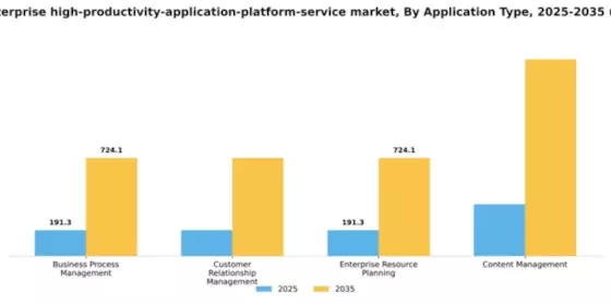 Germany Enterprise High Productivity Application Platform Service Market Segment Image 0