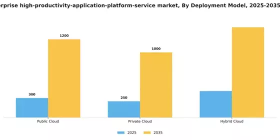 Germany Enterprise High Productivity Application Platform Service Market Segment Image 1