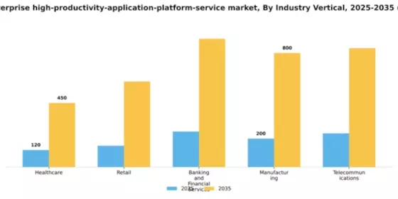 Germany Enterprise High Productivity Application Platform Service Market Segment Image 2