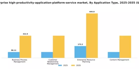 Japan Enterprise High Productivity Application Platform Service Market Segment Image 0