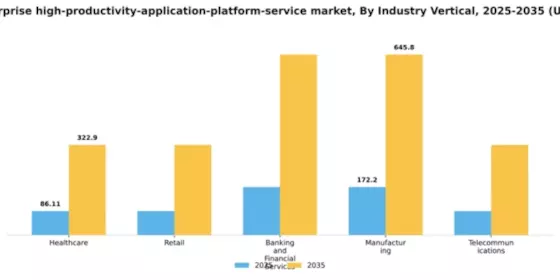 Japan Enterprise High Productivity Application Platform Service Market Segment Image 2