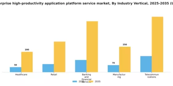 France Enterprise High Productivity Application Platform Service Market Segment Image 2