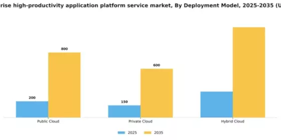 GCC Enterprise High Productivity Application Platform Service Market Segment Image 1