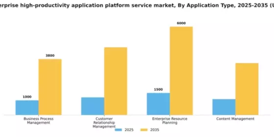 Europe Enterprise High Productivity Application Platform Service Market Segment Image 0
