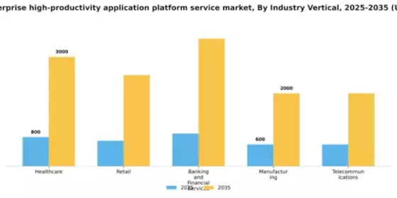 Europe Enterprise High Productivity Application Platform Service Market Segment Image 2