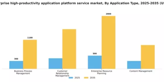 India Enterprise High Productivity Application Platform Service Market Segment Image 0