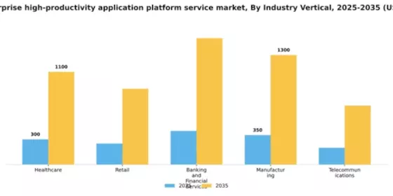 India Enterprise High Productivity Application Platform Service Market Segment Image 2