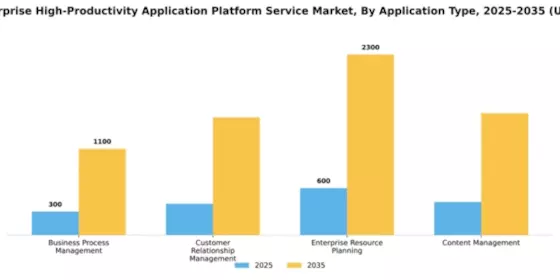 China Enterprise High Productivity Application Platform Service Market Segment Image 0