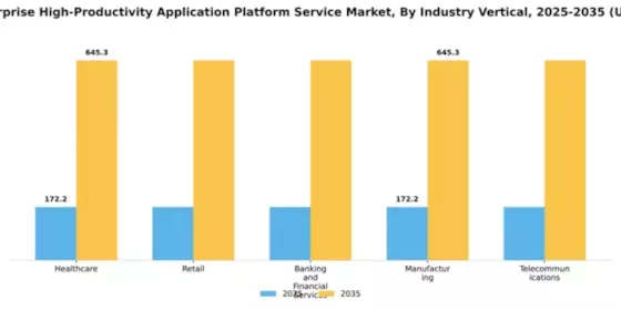 China Enterprise High Productivity Application Platform Service Market Segment Image 2