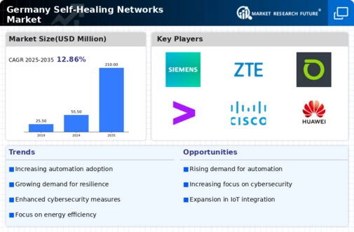 Germany Self Healing Networks Market Infographic