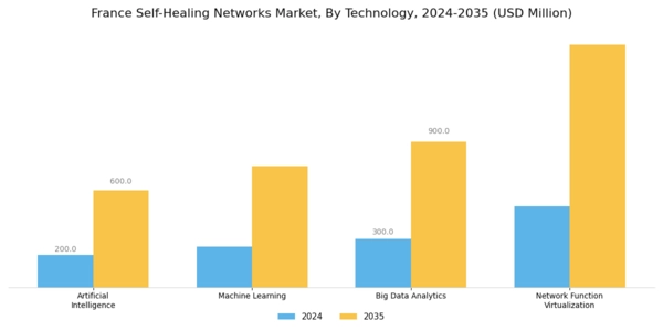 France Self Healing Networks Market Segment Image 2