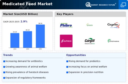 Medicated Feed Market Infographic