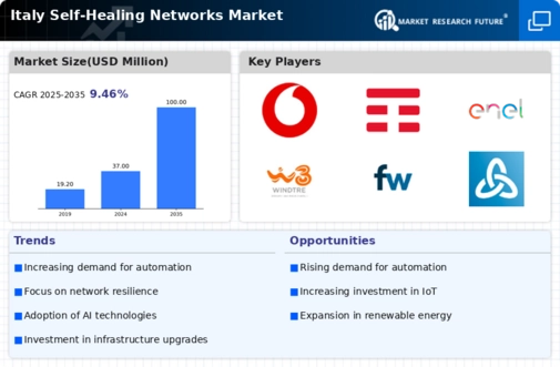 Italy Self Healing Networks Market Infographic
