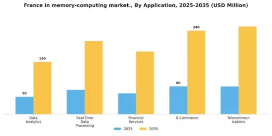 France In Memory Computing Market Segment Image 0