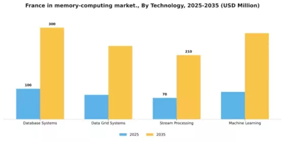 France In Memory Computing Market Segment Image 3