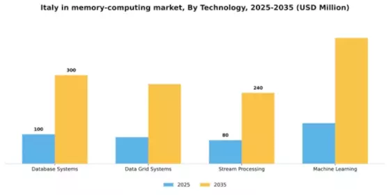 Italy In Memory Computing Market Segment Image 3