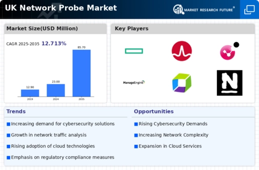UK Network Probe Market Infographic